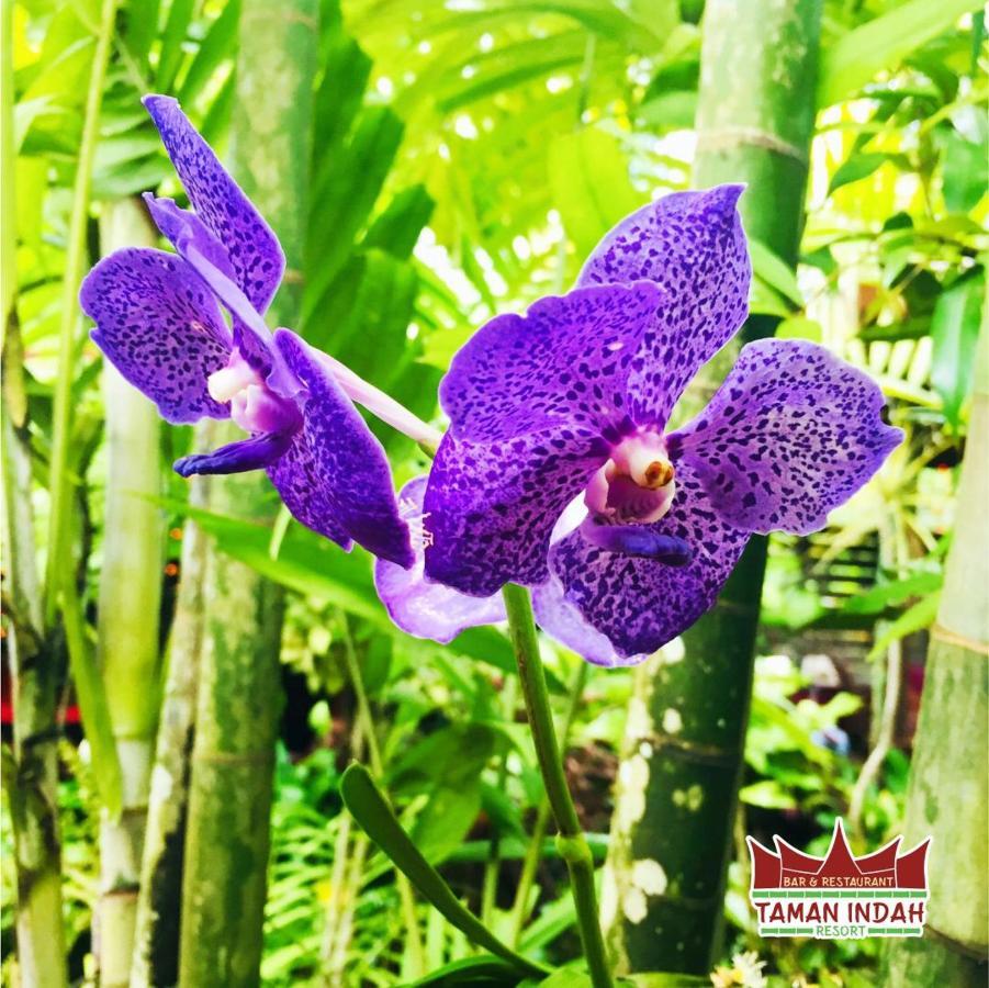 Taman Indah Resort Tamanredjo ภายนอก รูปภาพ